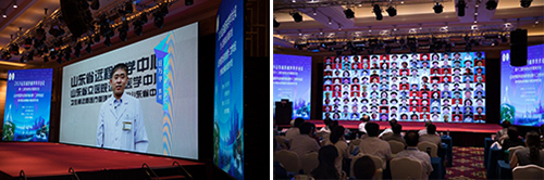 图片7.jpg 图片7.jpg