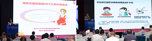 图片15.jpg 图片15.jpg