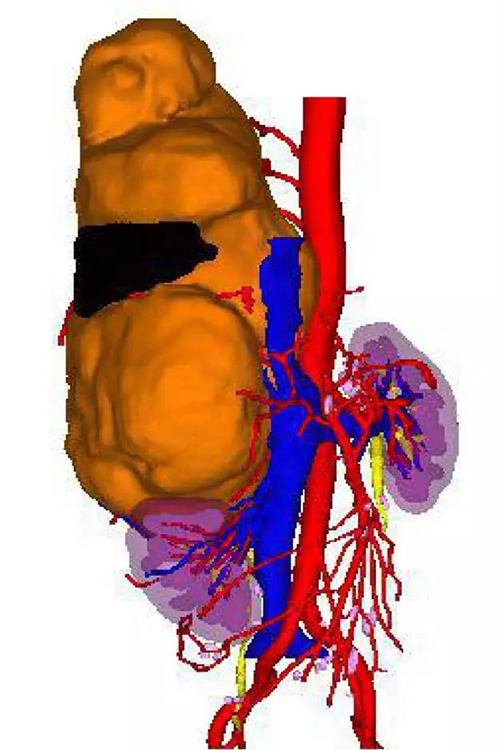 微信图片_20200305102549.jpg 微信图片_20200305102549.jpg